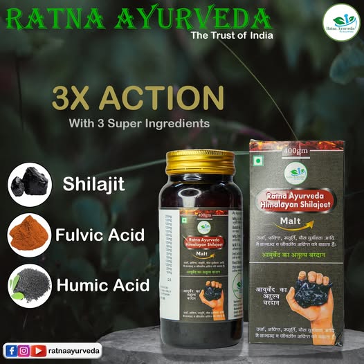 Ratna Ayurveda Himalayan Shilajeet 400-gram