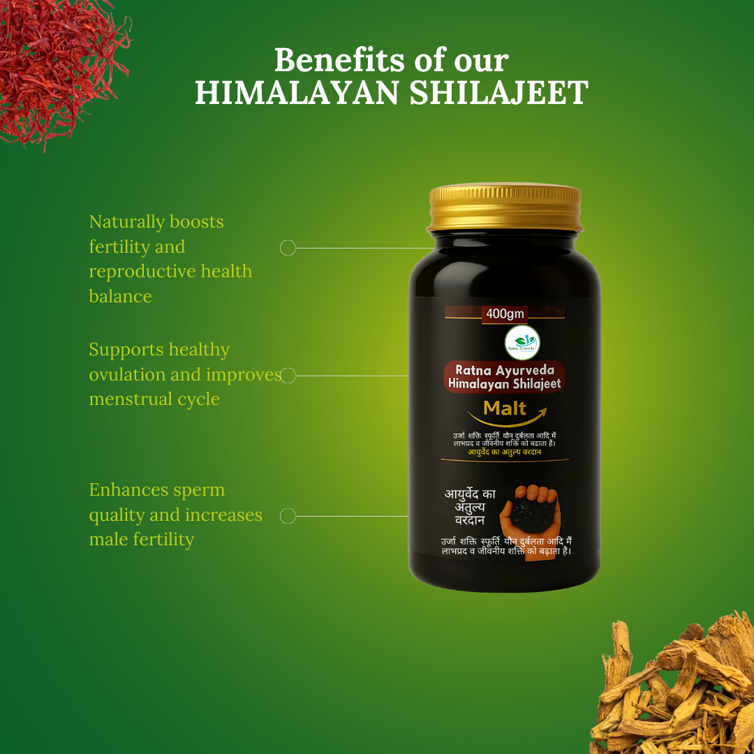 Ratna Ayurveda Himalayan Shilajeet 400-gram