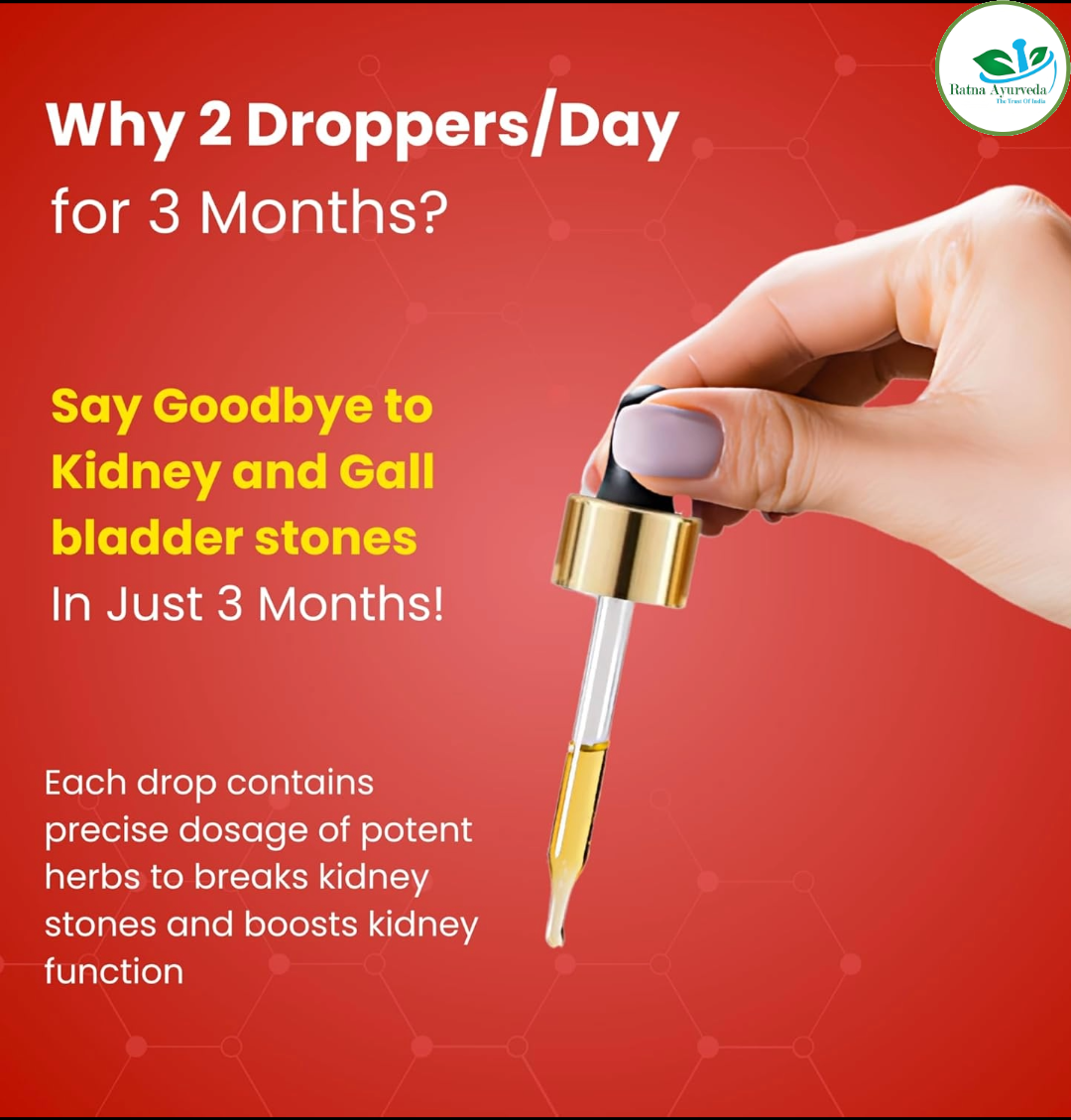 Kidney & Gallbladder - Stone Breaker - 50ml Oral Drops